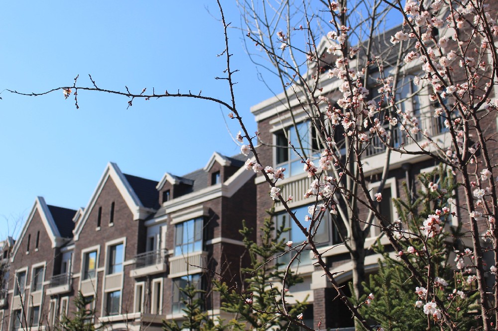 Tianjin Wuyi Sunshine