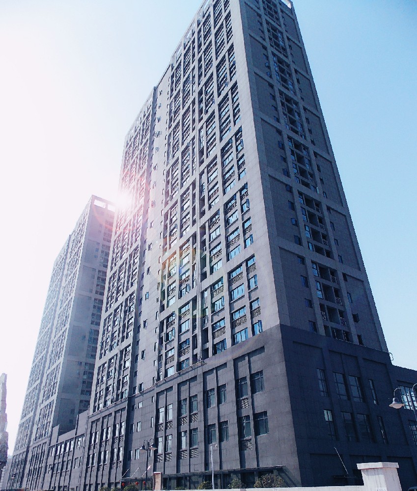 Wuhan Development Zone Science and Technology Building